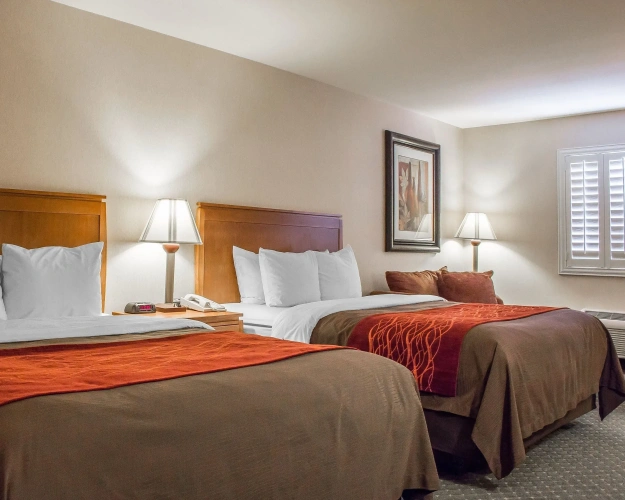 Quadruple Suite