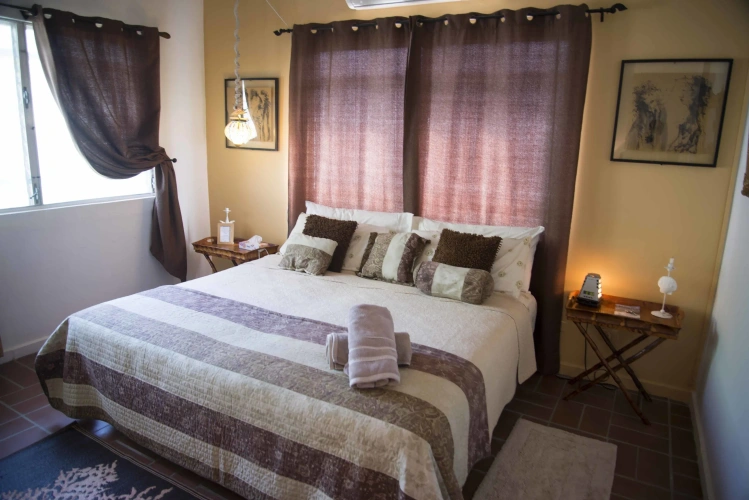 Deluxe Double room with garden view