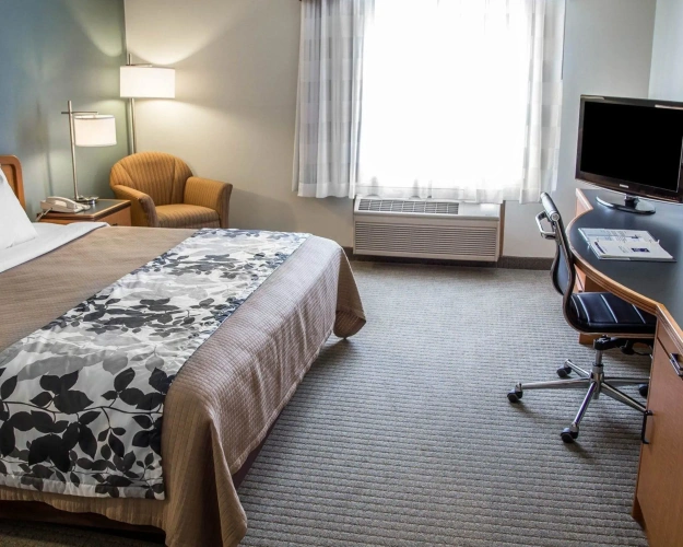 Standard Double room