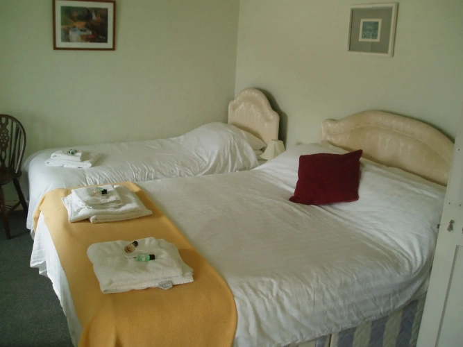 Standard Double room
