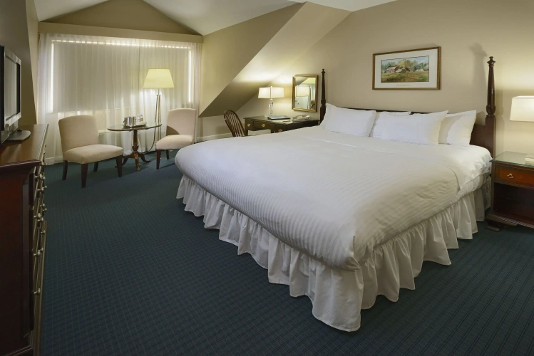 Luxury Double room