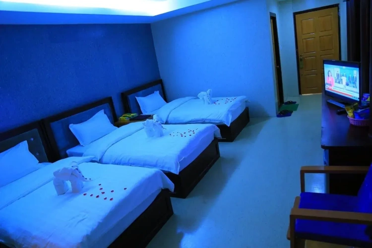 Deluxe Twin room with view