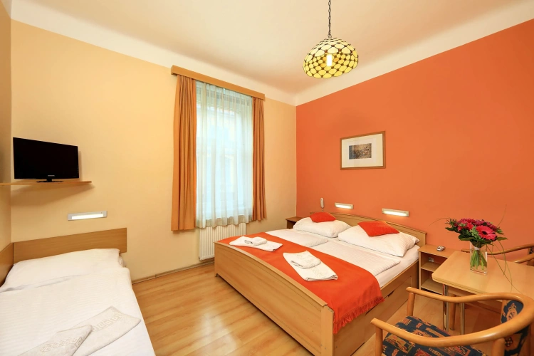 Standard Triple room