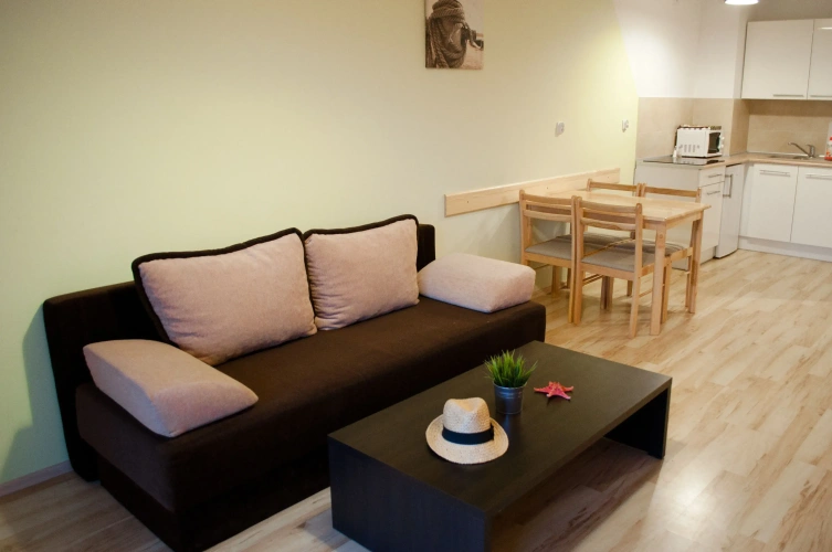 1 Bedroom Apartment