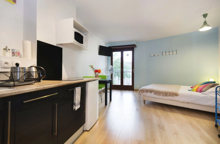 Standard Studio with park view