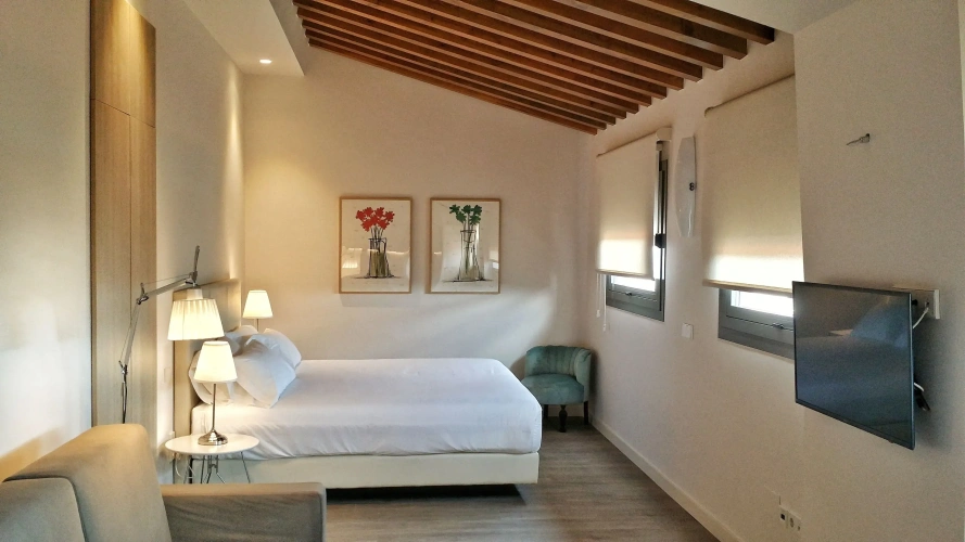 Standard Penthouse room