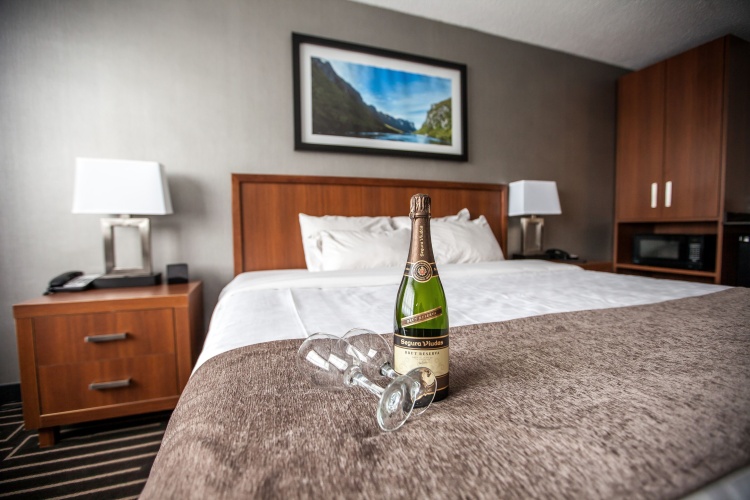 Standard Double room with city view