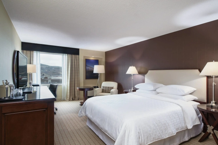 Standard Double Club room with city view