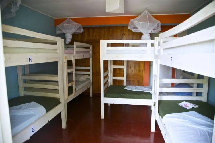 Bed in Dorm
