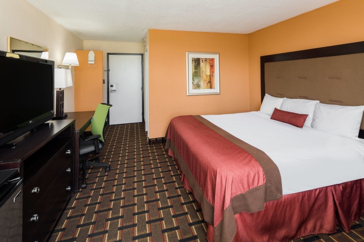 Standard Double room