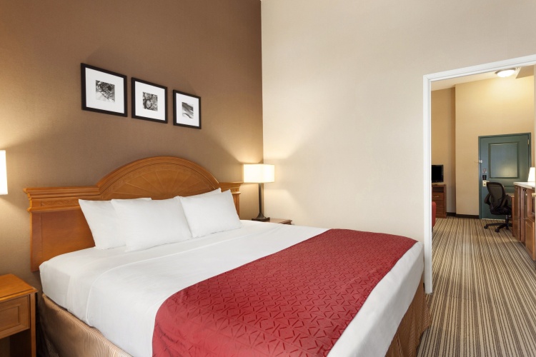 1 Bedroom Double Suite