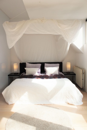 1 Bedroom Suite