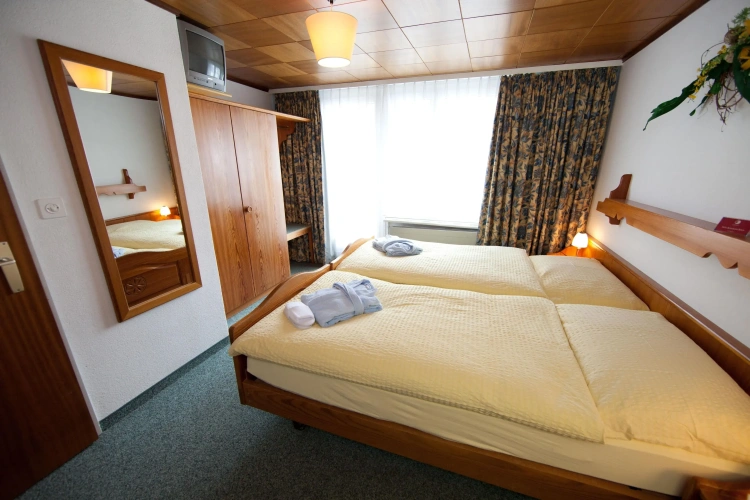 Economy Twin room