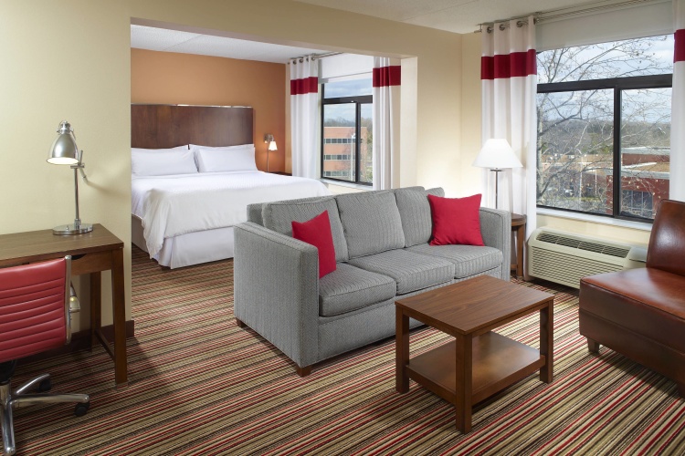 1 Bedroom Suite