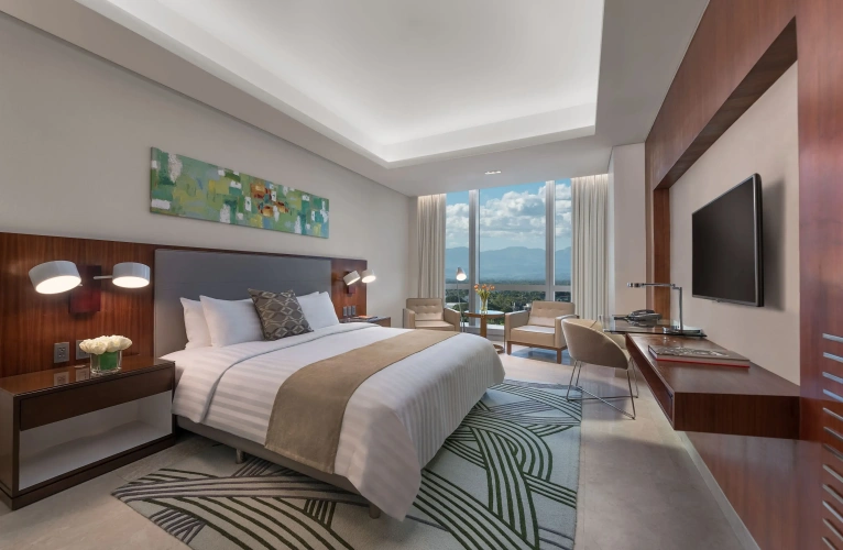 Deluxe Single room