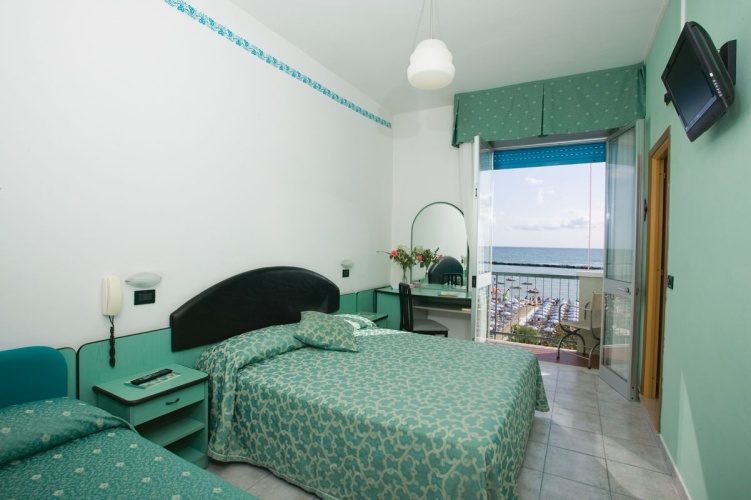Standard Double room with balcony and with view