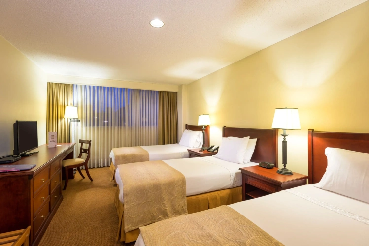 Standard Triple room