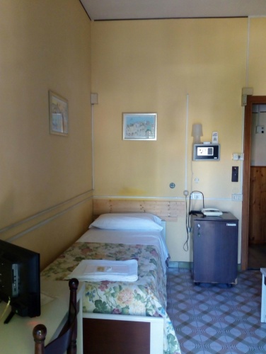 Standard Double room with balcony and with view