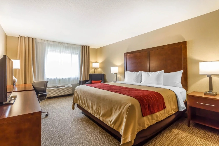 Standard Double room