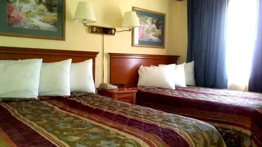 1 Bedroom Quadruple Suite