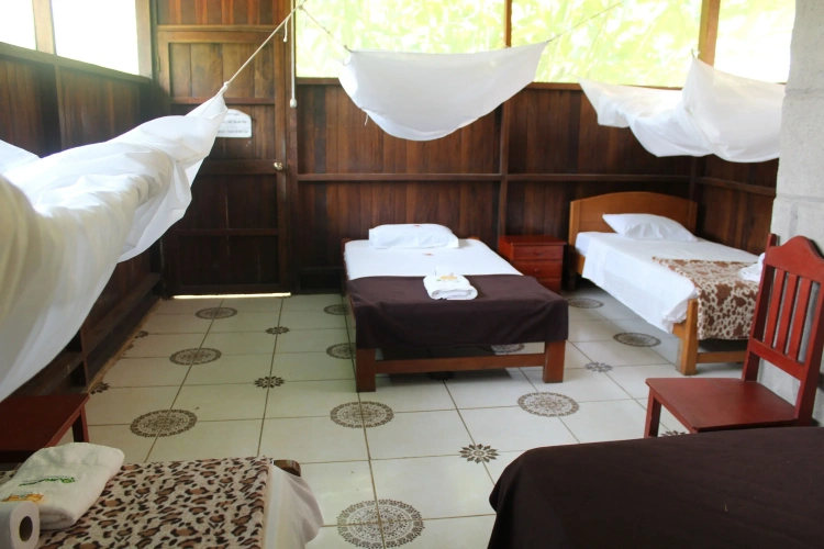 1 Bedroom Standard Quadruple room