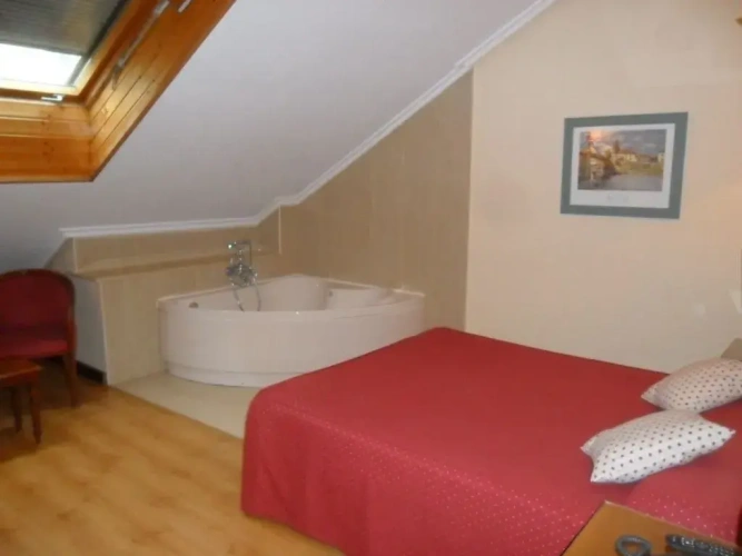 Standard Penthouse room