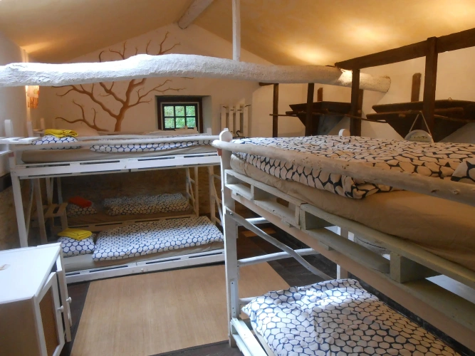 Bed in Dorm