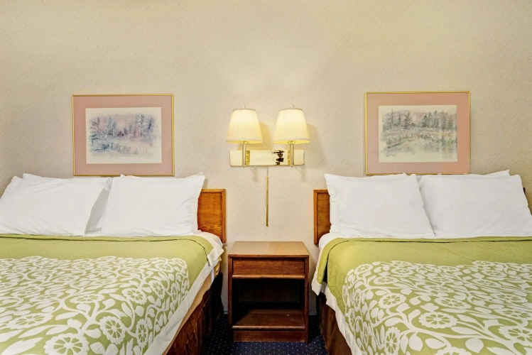 Quadruple Suite
