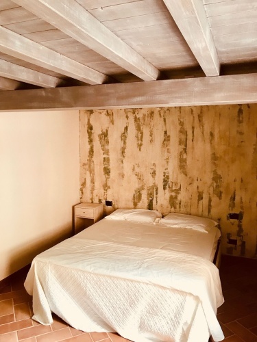 Basement Suite