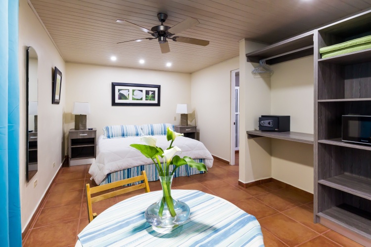Double Studio with garden view