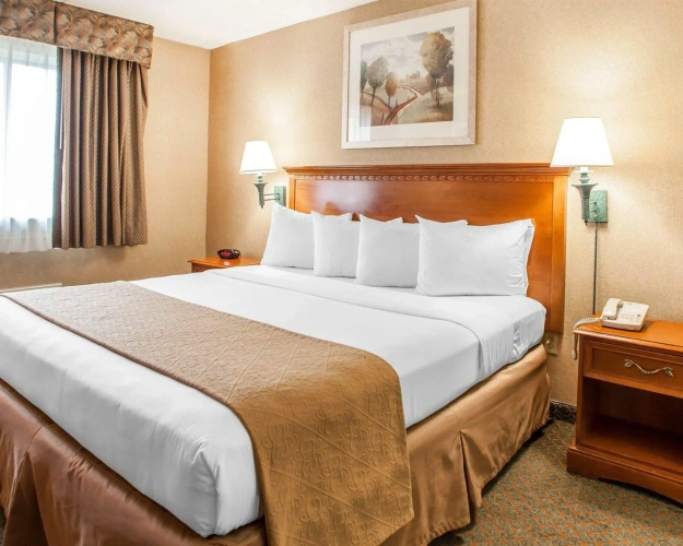 Business Double room
