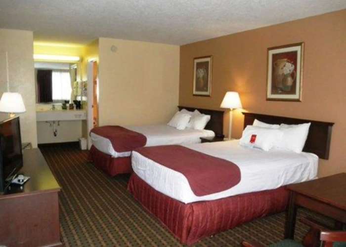 Standard Quadruple room