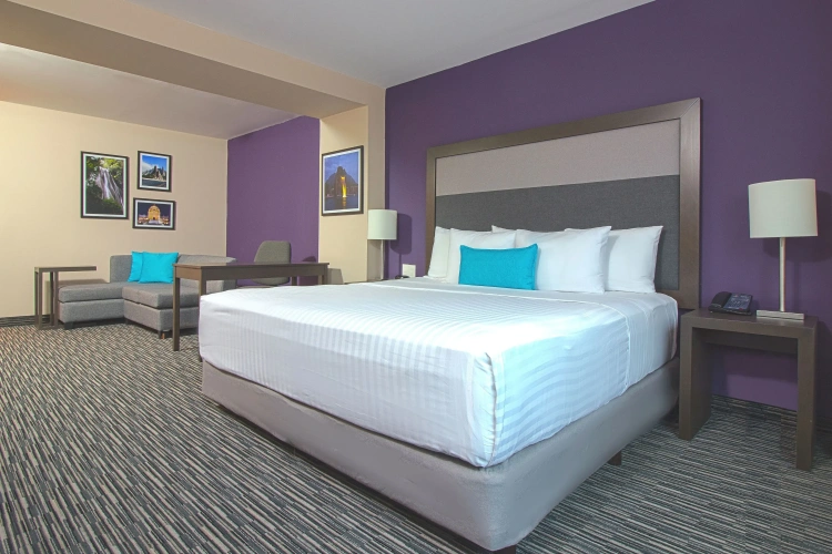 Executive Double room
