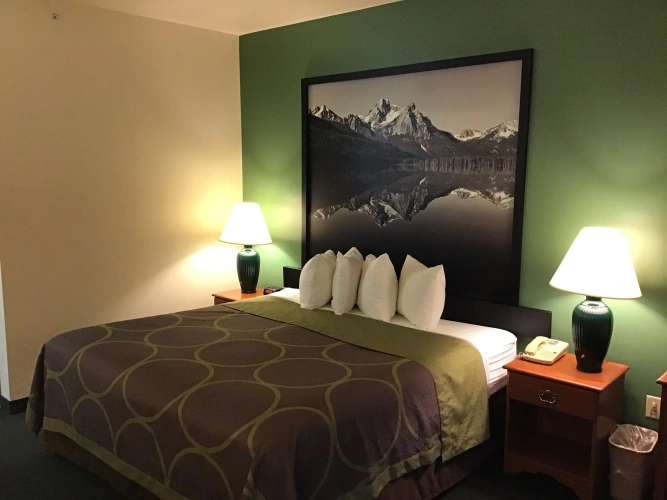 Standard Double room
