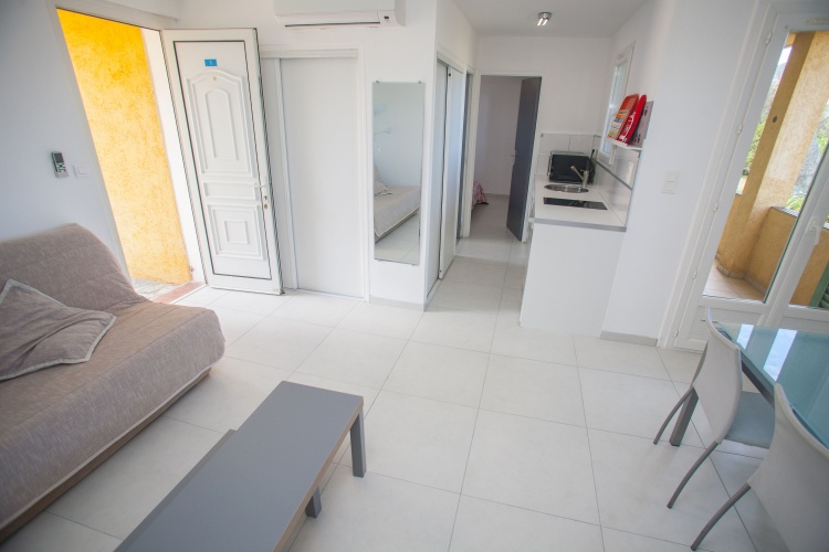 1 Bedroom Apartment