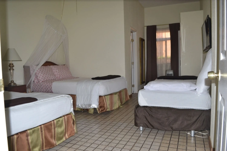 Deluxe Triple room