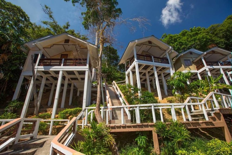 Standard Double room with mountain view