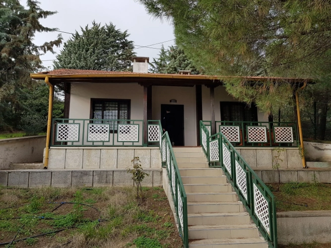 Family Villa