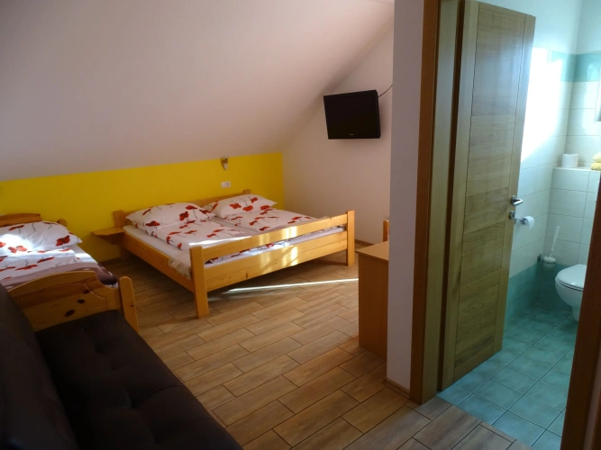 Classic Single room