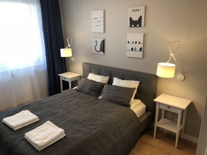 Deluxe Apartment
