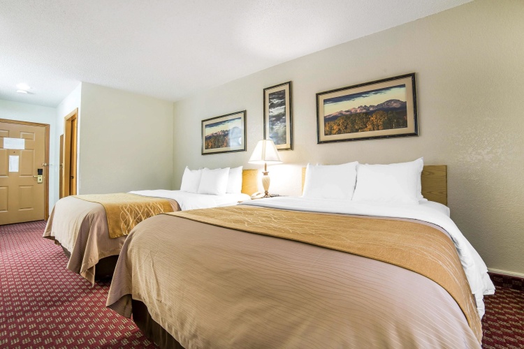 Standard Quadruple room