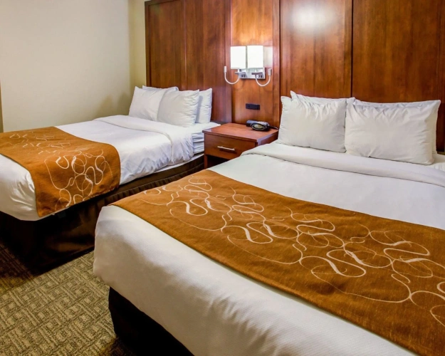Quadruple Suite