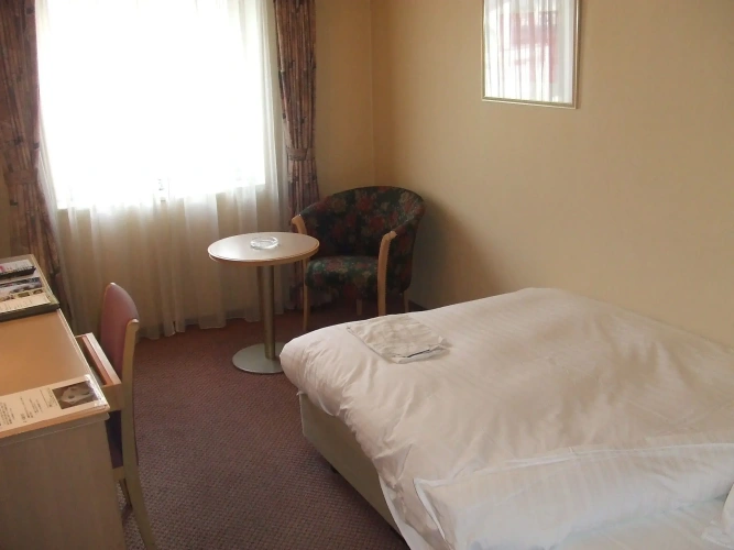 Standard Twin room with view