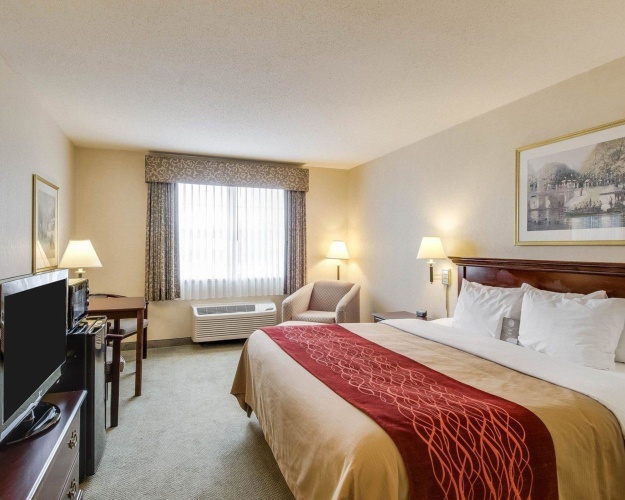 Standard Double room