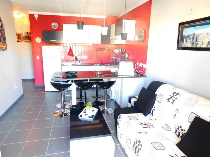 1 Bedroom Apartment