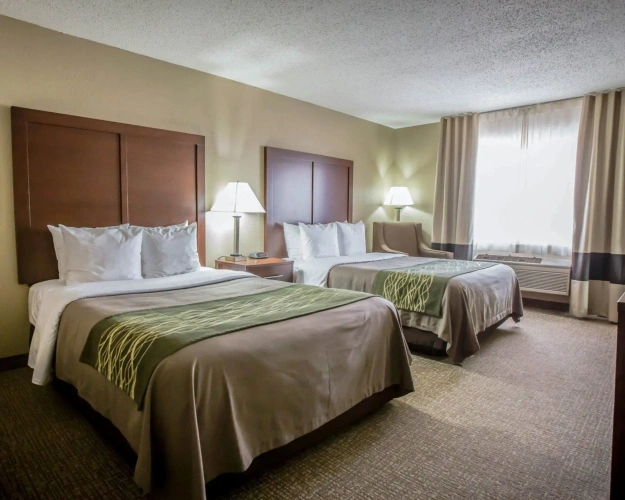 Standard Quadruple room