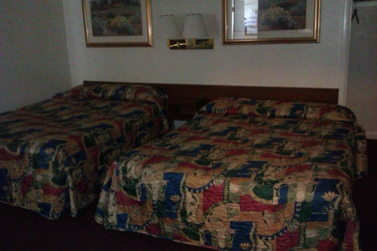 1 Bedroom Quadruple Family Suite