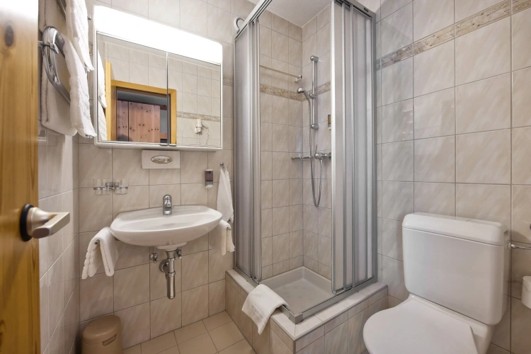 Comfort Double room with balcony and with mountain view