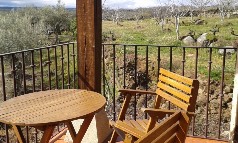 Junior Suite with view