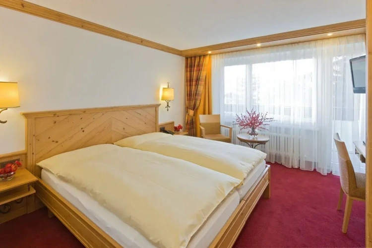 Standard Double room with balcony and with mountain view